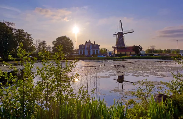 Historiske Vindmøller Kralingen Lake Rotterdam Nederland – stockfoto