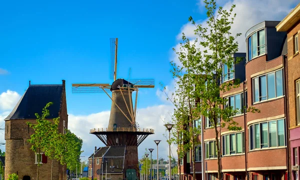 Eine Windmühle Der Stadt Delft Den Niederlanden Einem Sonnigen Tag — Stockfoto