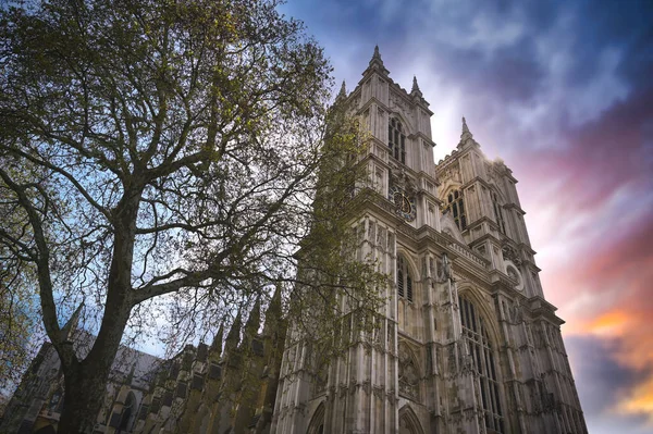 Sunset Westminster Abbey London England United Kingdom — Stock Photo, Image