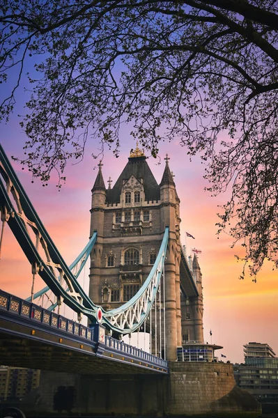 Tower Bridge Över Themsen Vid Solnedgången London Storbritannien — Stockfoto