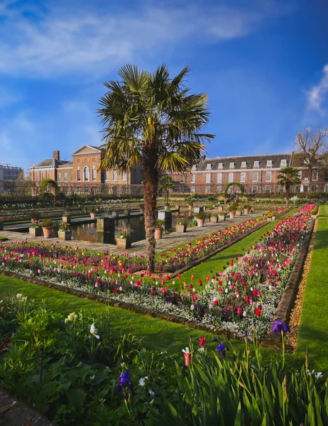 ロンドン イギリス 2019年4月17日 ケンジントン庭園は春の朝に英国中央ロンドンのハイドパークにあります — ストック写真