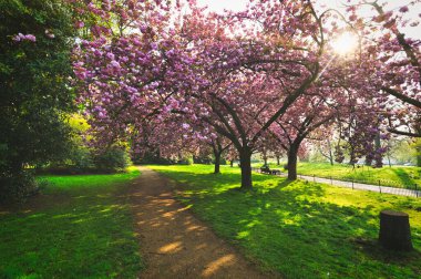 Hyde Park 'ta bahar merkezi Londra' da..