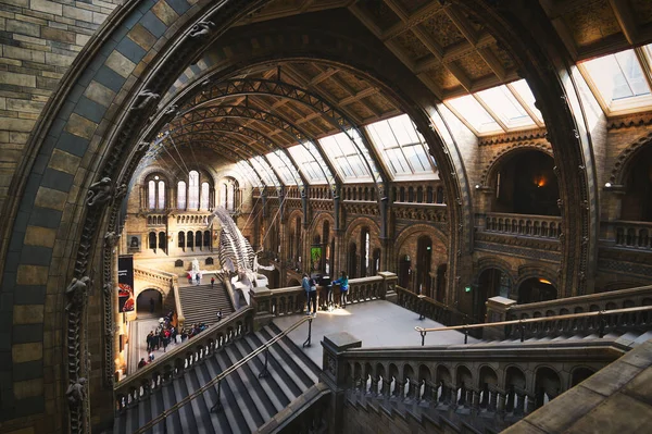 英国ロンドン 2019年4月17日 英国ロンドンのサウスケンジントン自然史博物館の中央ホール — ストック写真