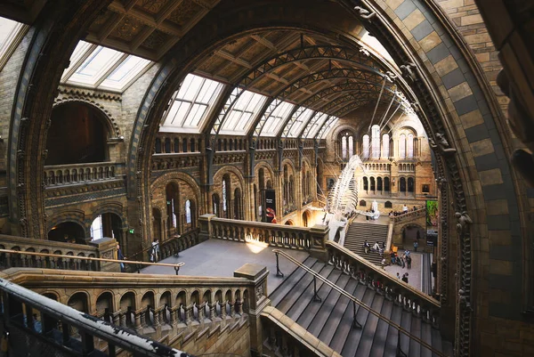 London United Kingdom April 2019 Central Hall Natural History Museum — Stock Photo, Image