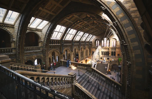 英国ロンドン 2019年4月17日 英国ロンドンのサウスケンジントン自然史博物館の中央ホール — ストック写真
