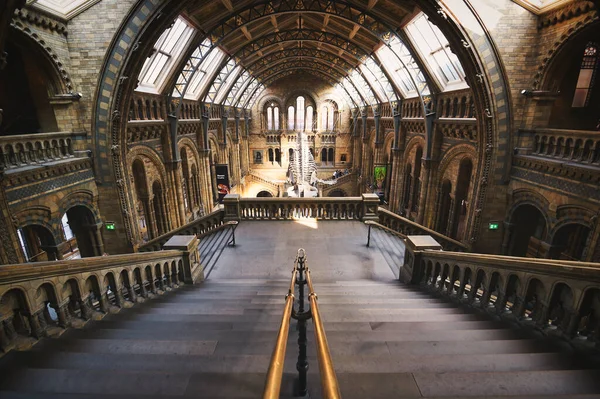 Лондон Великобритания Апреля 2019 Года Центральный Зал Музея Естественной Истории — стоковое фото
