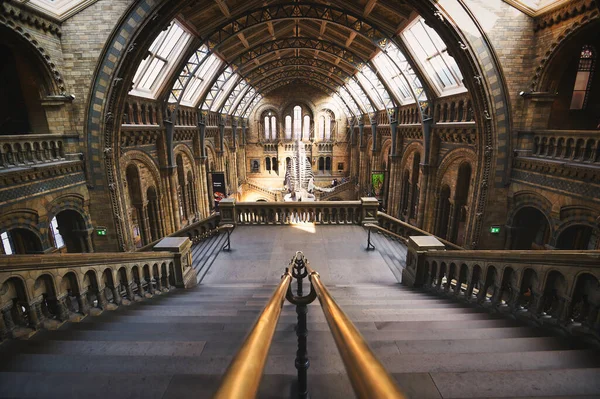 Londres Royaume Uni Avril 2019 Hall Central Musée Histoire Naturelle — Photo