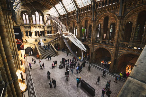 Londres Royaume Uni Avril 2019 Hall Central Musée Histoire Naturelle — Photo