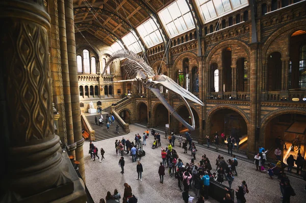 Londres Royaume Uni Avril 2019 Hall Central Musée Histoire Naturelle — Photo