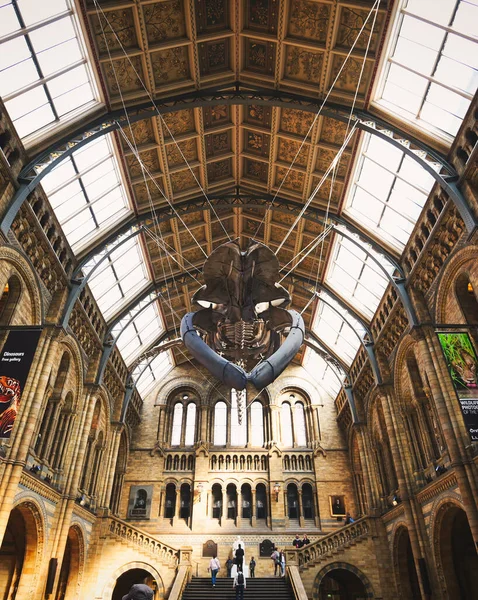 Londres Royaume Uni Avril 2019 Hall Central Musée Histoire Naturelle — Photo