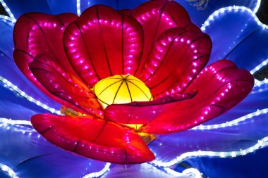 Dragon ışıklar Albuquerque, ipek Lotus fener. İpek fenerler Çin geleneksel sanat Çin yeni yılı kutladı. Zigong, Çin'den zanaatkarlar tarafından el işi