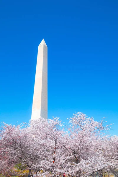 Washington, dc, usa - 1. April 2019: washington monument, während — Stockfoto