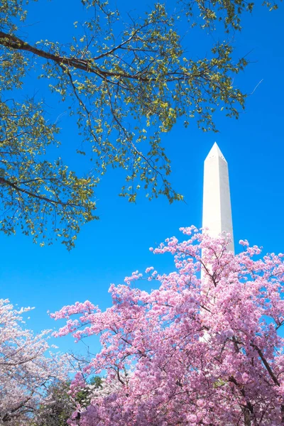 Washington, DC, USA-1. dubna 2019: Washington Monument, během Royalty Free Stock Obrázky