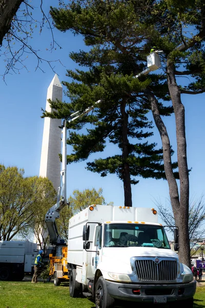 Washington Mall mit Washington Monument mit Baumpflege — Stockfoto