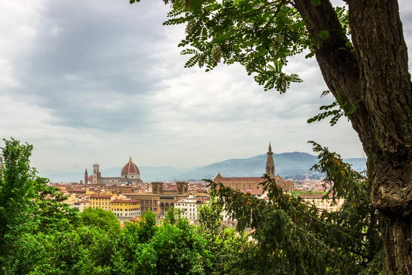 Italya Toskana Floransa Panoramik Görünümü — Stok fotoğraf