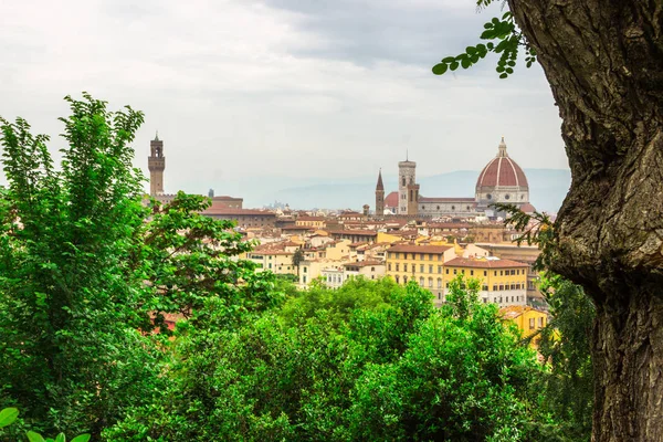 Vue Panoramique Florence Toscane Italie — Photo