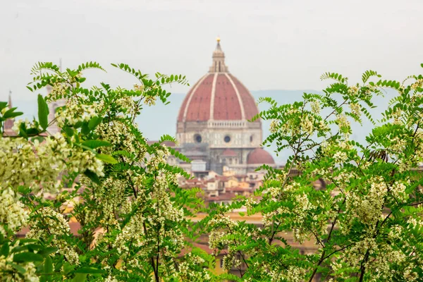 Italya Toskana Floransa Panoramik Görünümü — Stok fotoğraf