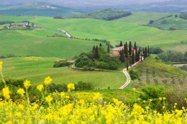 alanlar ve çayırlar Tuscany tepelerinde Sunrise