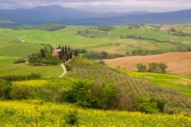 alanlar ve çayırlar Tuscany tepelerinde Sunrise