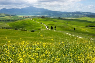 Pienza yakınlarındaki Val di Orcia içinde Toskana gladyatör film sahne