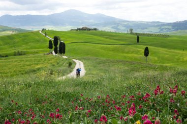 Pienza yakınlarındaki Val di Orcia içinde Toskana gladyatör film sahne