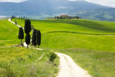 Pienza yakınlarındaki Val di Orcia içinde Toskana gladyatör film sahne