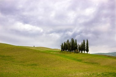 gündoğumu ve selvi o alanları Toskana 