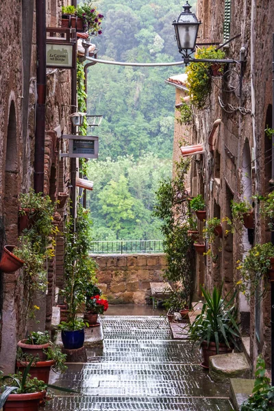 Pitigliano Buildings Streets Medieval Town Tuscany Stock Image