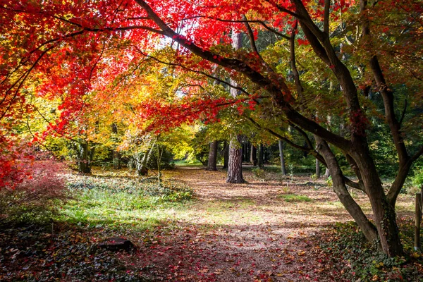 Herbstfarben Park — Stockfoto