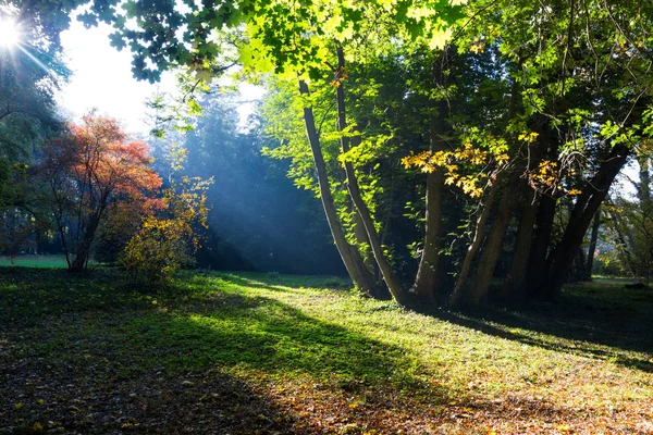 Sombras Raios Sol Cores Outono Parque — Fotografia de Stock