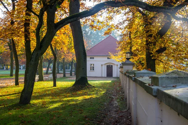 Gölgeler Güneş Işınları Sonbahar Renkleri Park — Stok fotoğraf