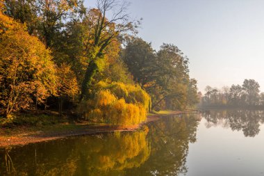 renkli sonbahar ağaçlarının su yansımalar