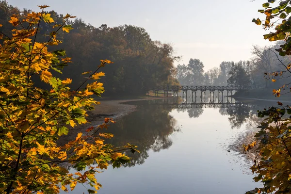 Refleksi Dalam Air Dari Pohon Pohon Musim Gugur Berwarna Warni — Stok Foto