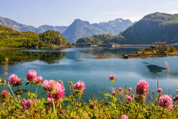 Fiyort ve Norveç'te Lofoten dağlarında