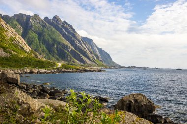 deniz ve dağ Lofoten Norveç'te içinde