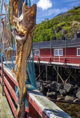 balık ağlarına ve Norveç'te Lofoten adasında Nusfjord evleri