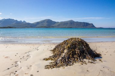 Ramberg plaj ve dağ Flakstadoya Adası'Lofoten Norveç'te