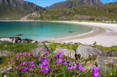 Haukland plaj ve Lofoten Norveç dağlarında