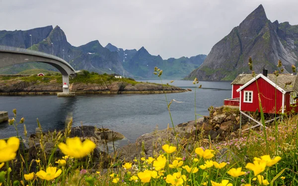 Fishing Port Mountains Reinefjord Lofoten Norway — Stock Photo, Image