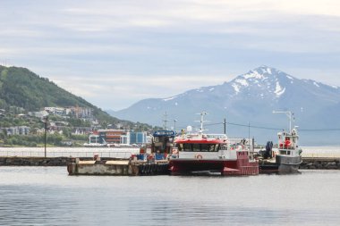 Tromso limanı ve Kuzey Norveç'teki şehir