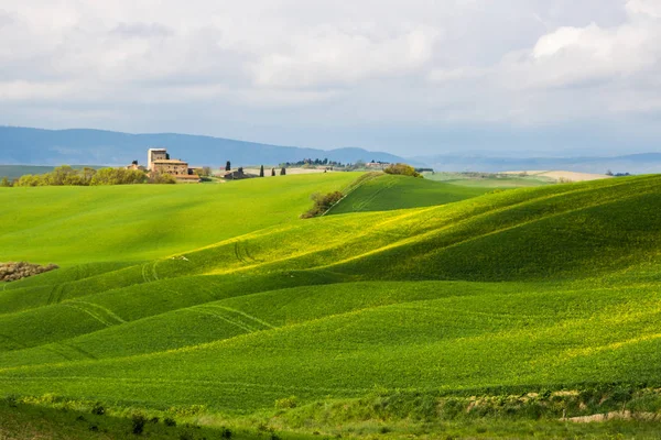 Зеленые Холмы Крита Сенези Тоскане — стоковое фото