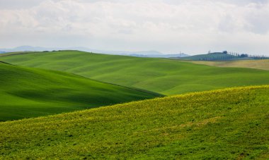 Toskana Girit Senesi yeşil tepeler