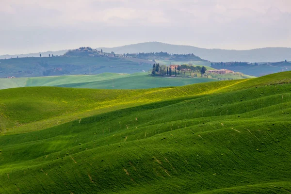 Beton Senesi Grüne Hügel Der Toskana — Stockfoto
