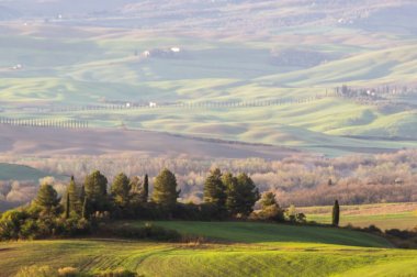 gün doğumunda Toskana'daki Val d'Orcia tepeleri ve tarlaları