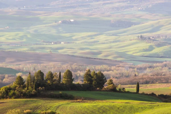 gün doğumunda Toskana'daki Val d'Orcia tepeleri ve tarlaları