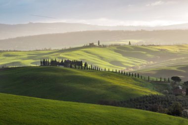 Toskana Val d'Orcia tepeler ve yeşil alanlar