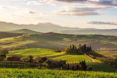 Toskana Val d'Orcia tepeler ve yeşil alanlar