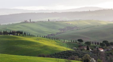 Toskana Val d'Orcia tepeler ve yeşil alanlar