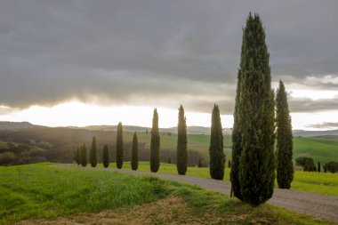 Toskana Val d'Orcia tepeler ve yeşil alanlar