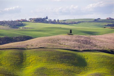 Toskana yeşil alanlar ve tepeler